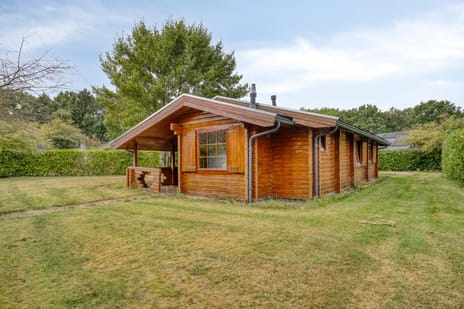 undefined main image