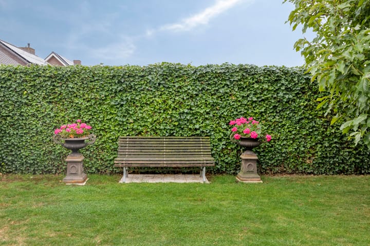 Foto 33 van Burgemeester Loefenstraat 16