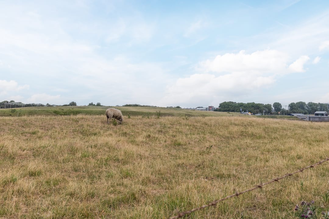 Foto 38 van Visserijschool 9