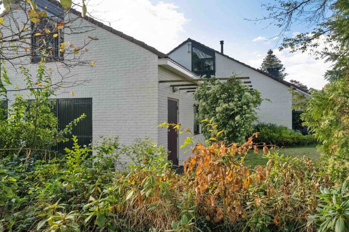 Foto 11 van de Hulst 58