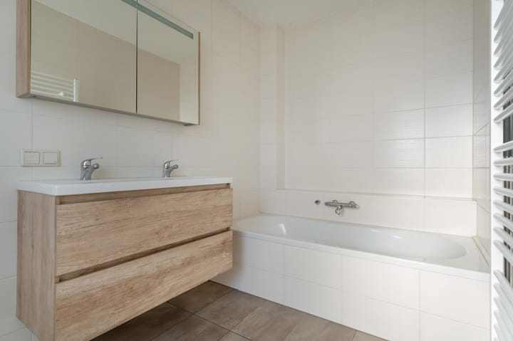 Foto 39 van de Hulst 58