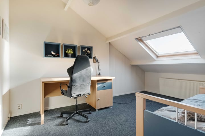 Foto 49 van de Hulst 58