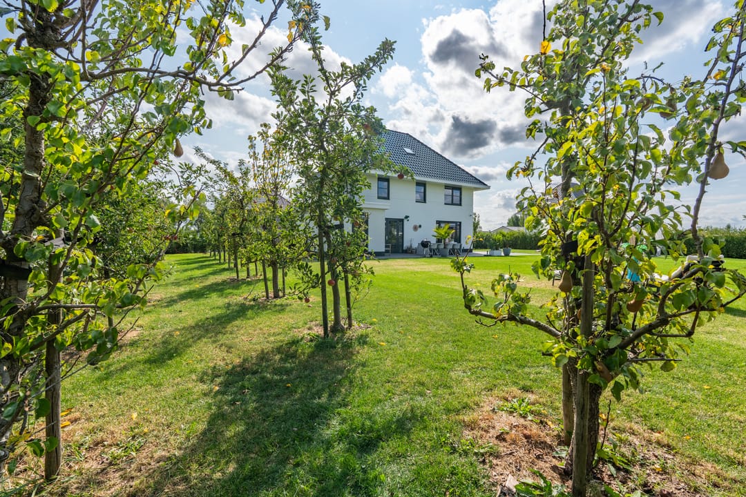 Photo 56 of William Jamesstraat 29