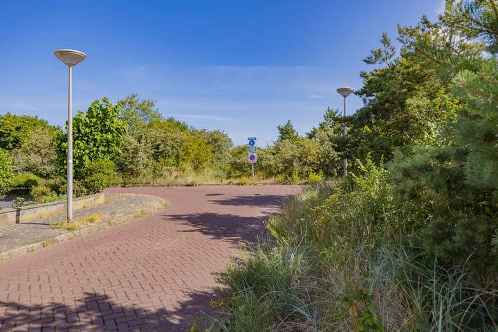 Foto 51 van Steentijm 38