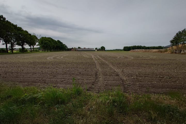 Ravensgat, Bakel