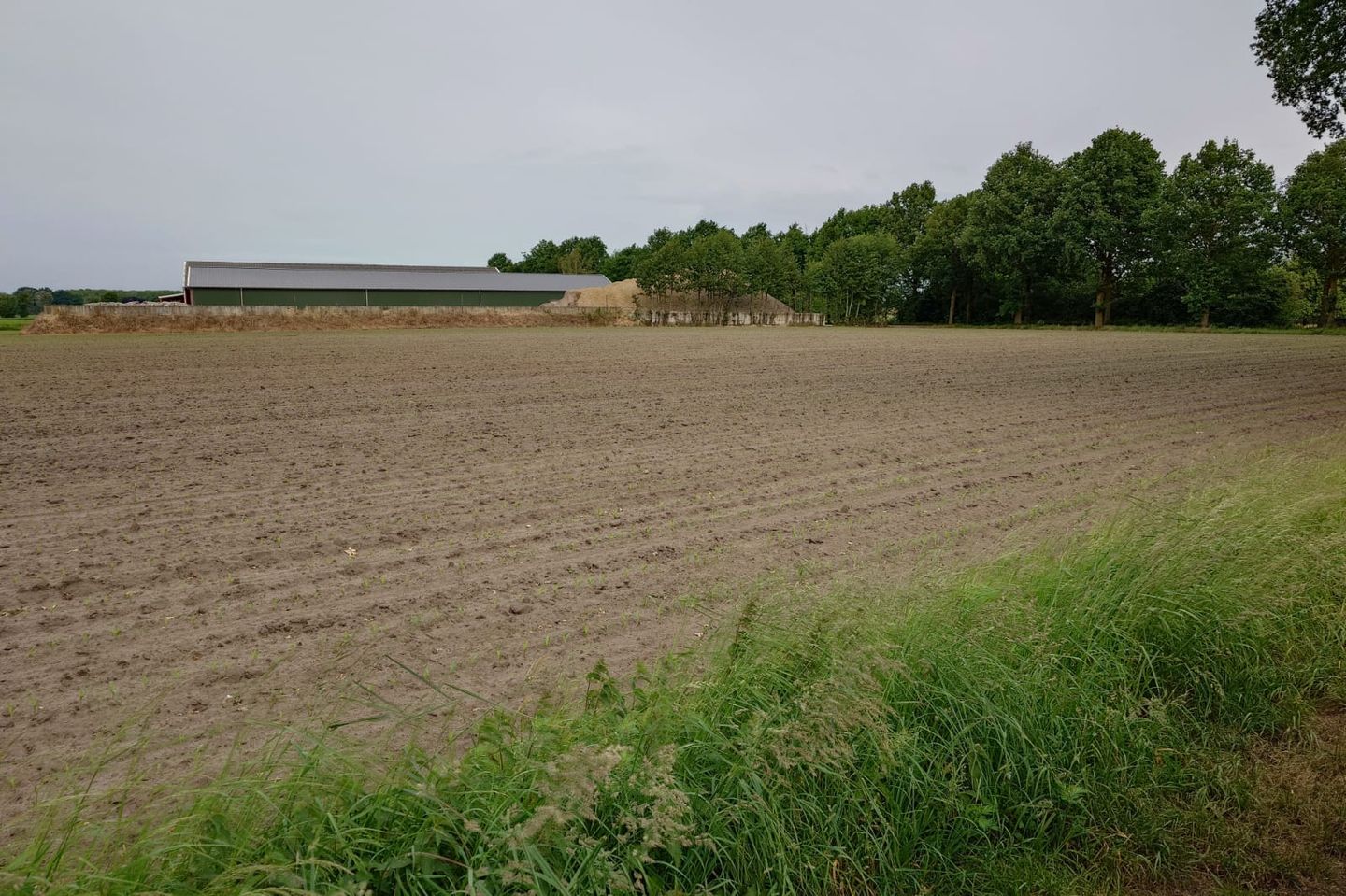 Bekijk foto 2 van Ravensgat