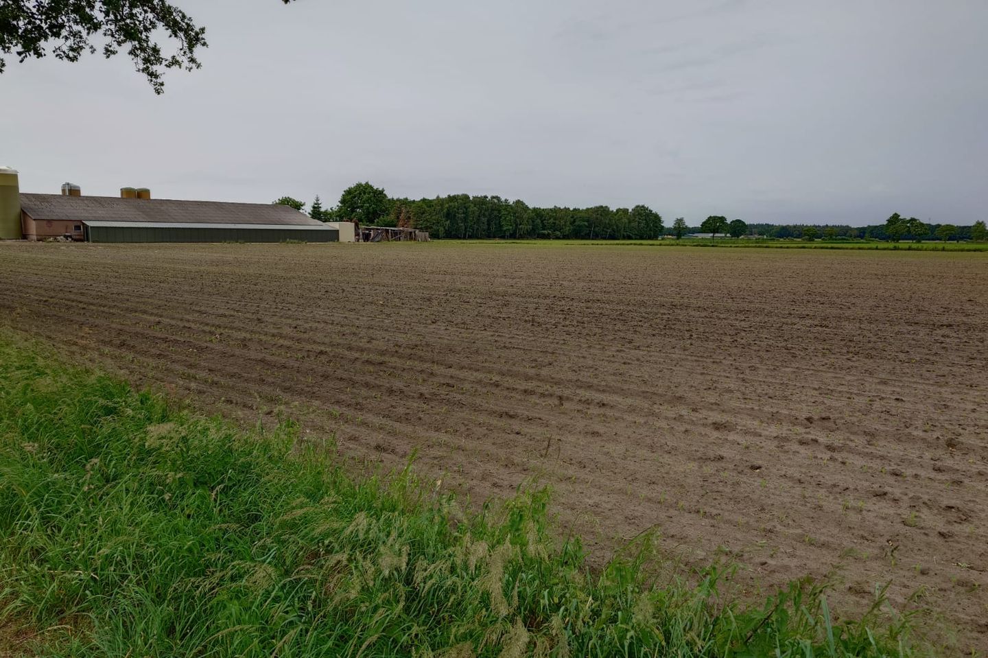 Bekijk foto 3 van Ravensgat