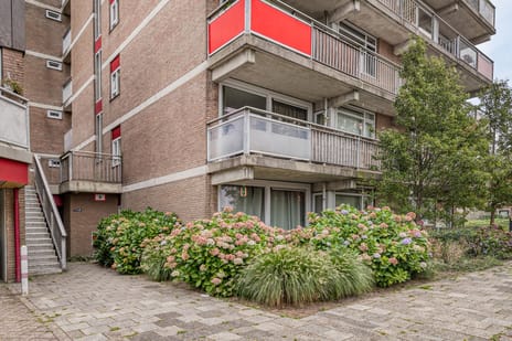 Steendijk 91 tertiary image