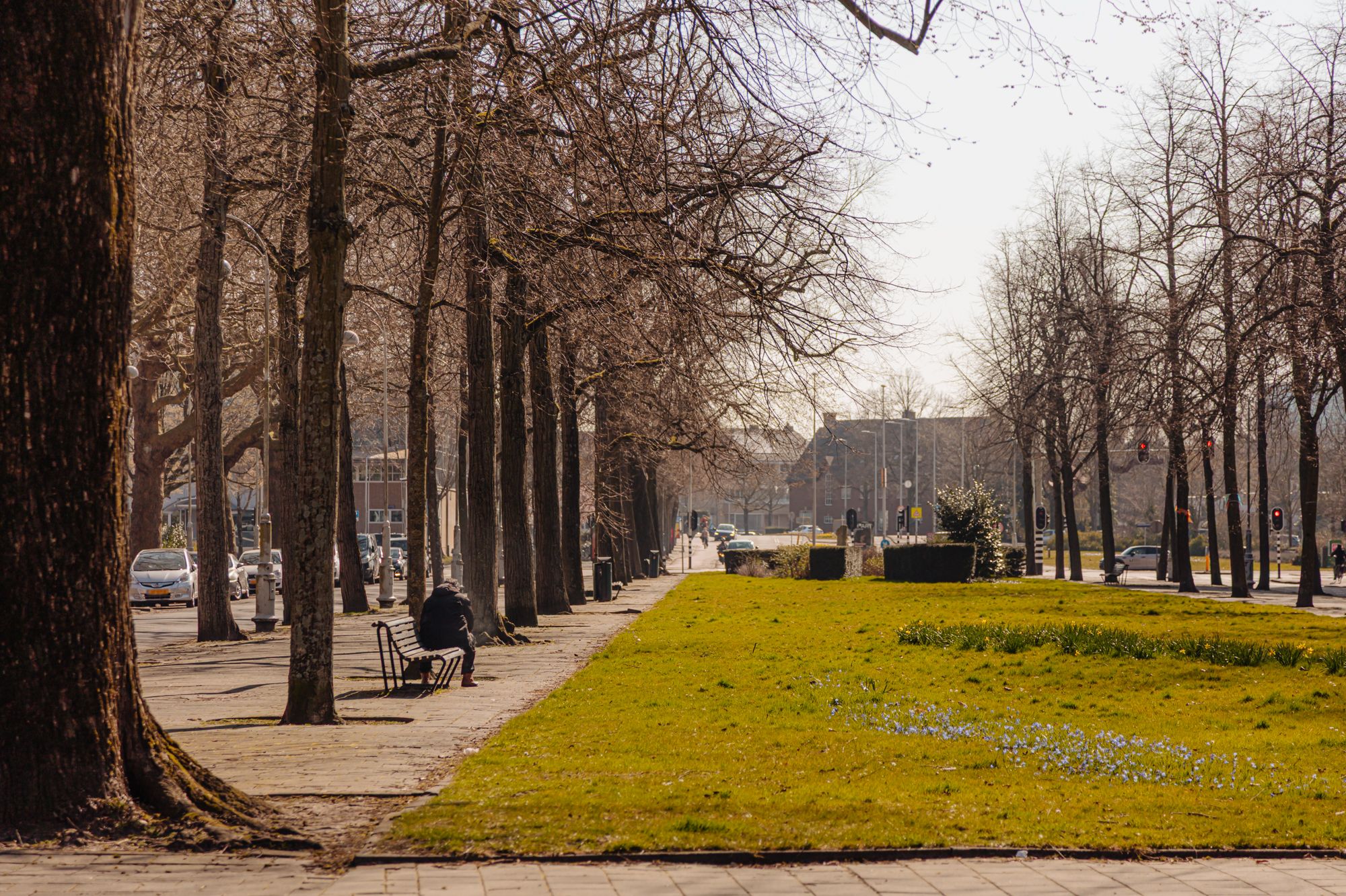 Photo 60 of Apollolaan 44