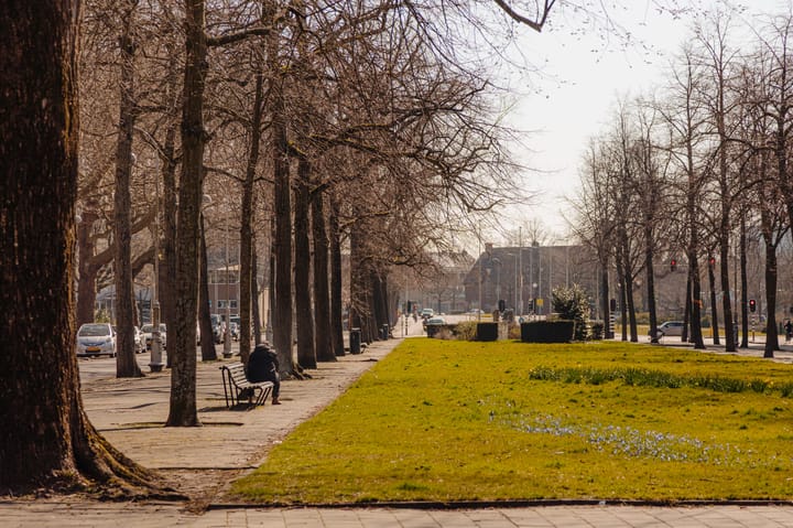 Foto 60 van Apollolaan 44