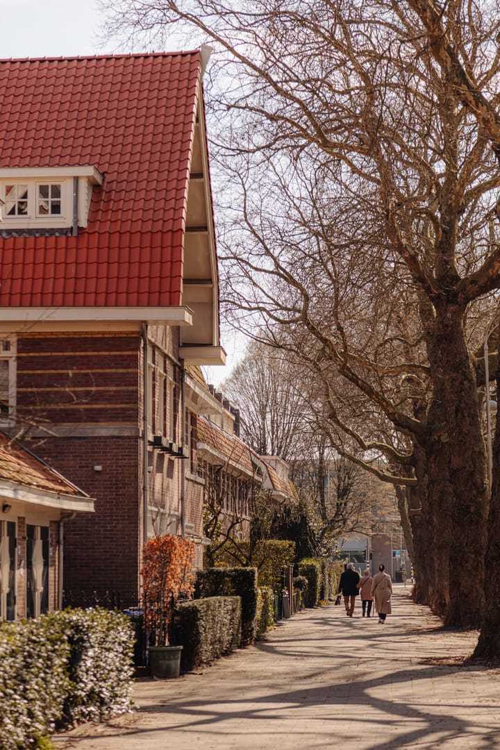 Foto 62 van Apollolaan 44