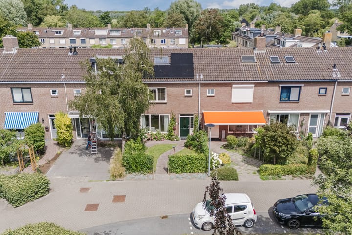 Foto 4 van Sleedoornplantsoen 52