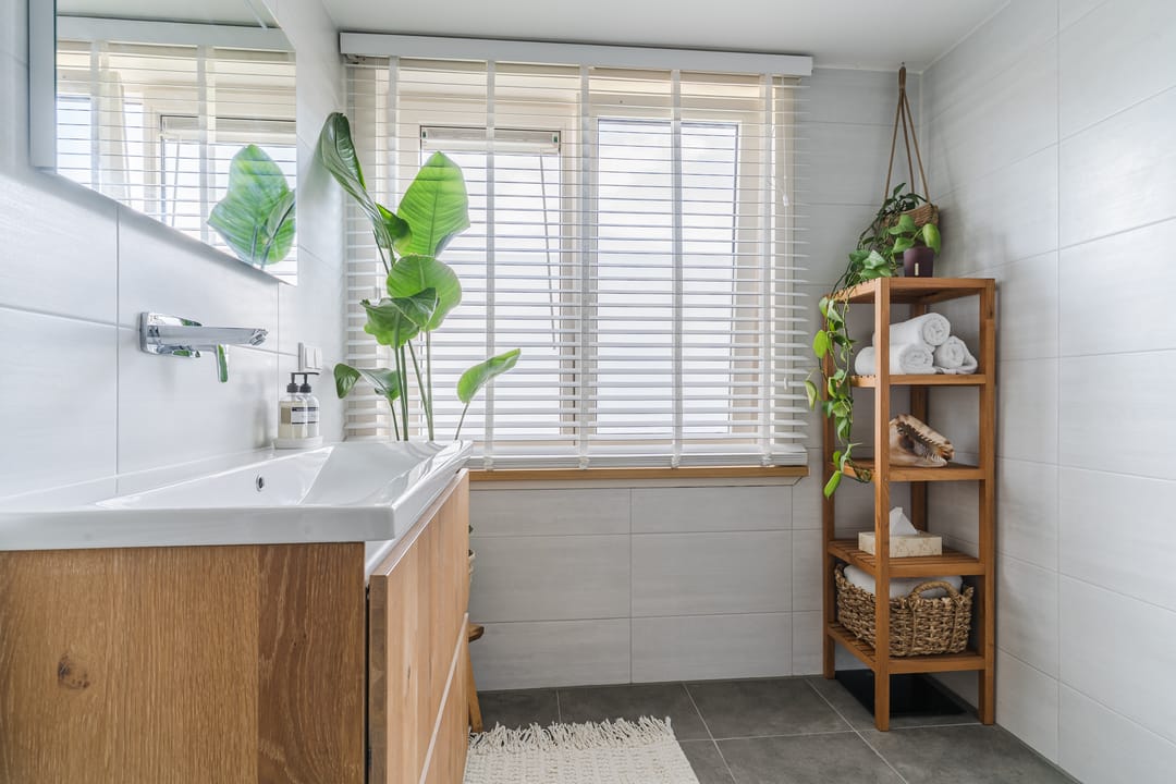 Photo 22 of Sleedoornplantsoen 52