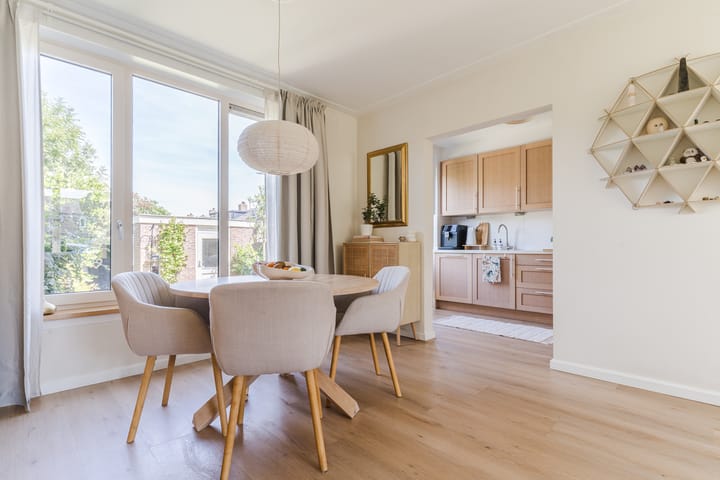 Foto 3 van Sleedoornplantsoen 52