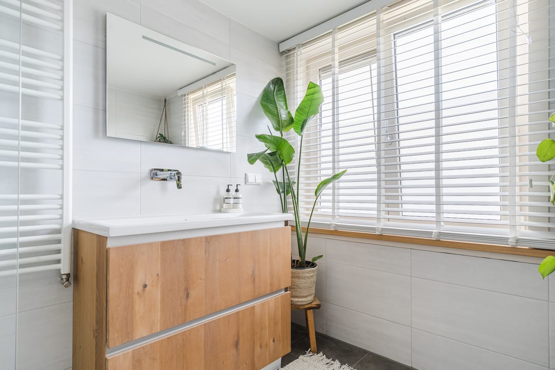 Photo 23 of Sleedoornplantsoen 52