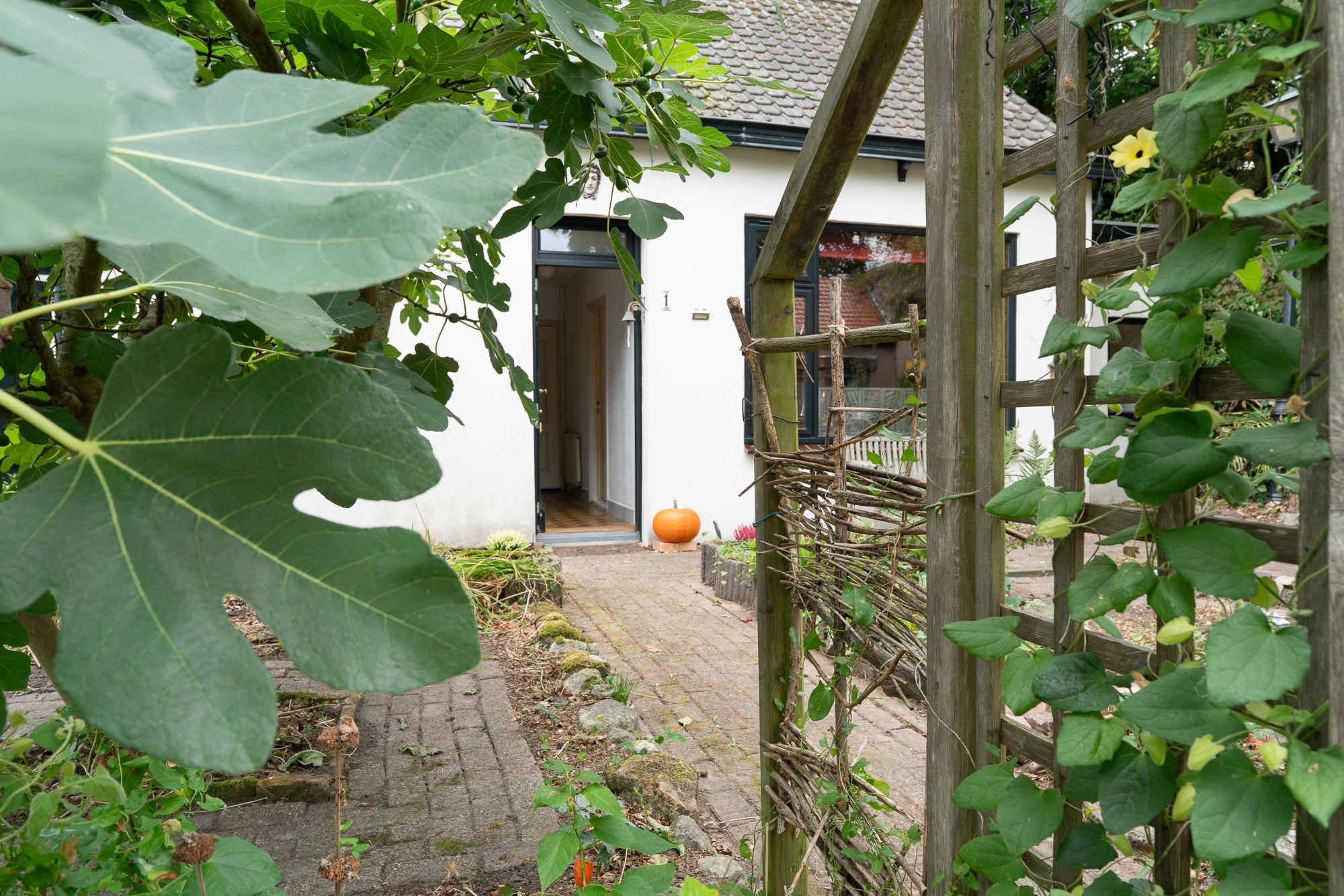 Foto 54 van Middeldijk 1