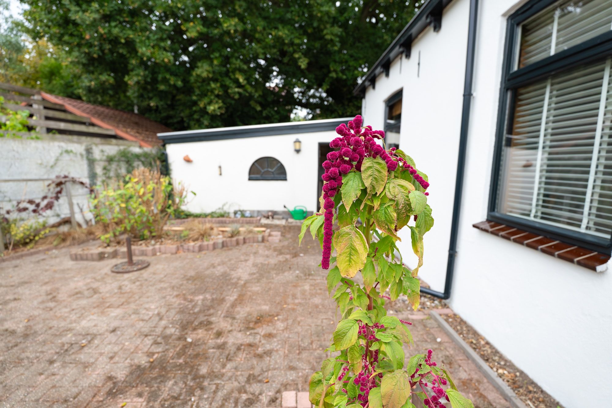 Foto 63 van Middeldijk 1