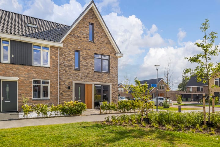 Foto 1 van Steven Peltplantsoen 2