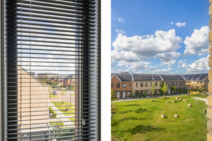 Foto 27 van Steven Peltplantsoen 2