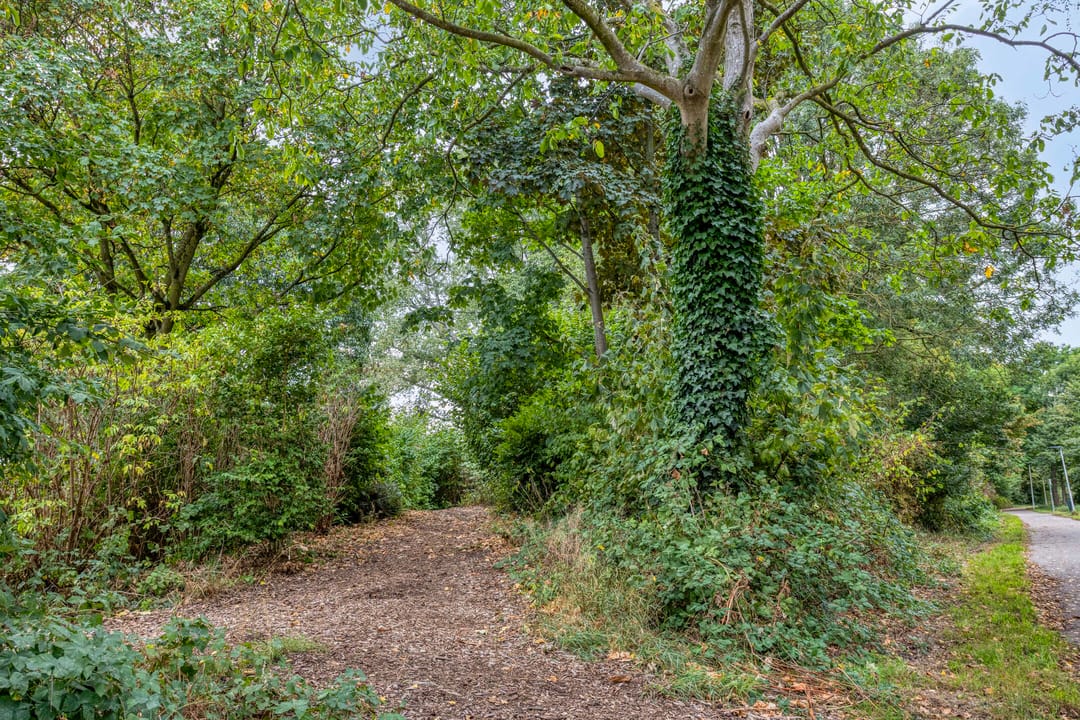 Foto 31 van Breedeweer 57