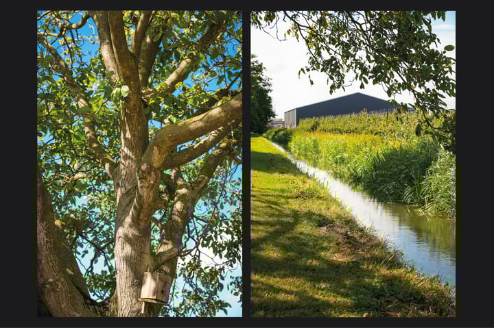 Photo 75 of Provincialeweg 36