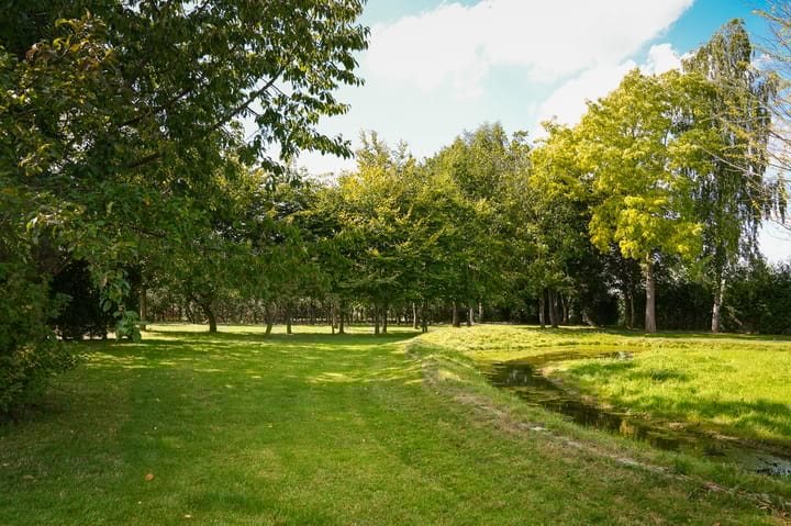 Photo 79 of Provincialeweg 36