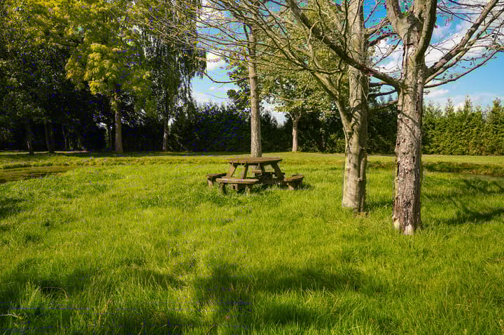 Photo 80 of Provincialeweg 36