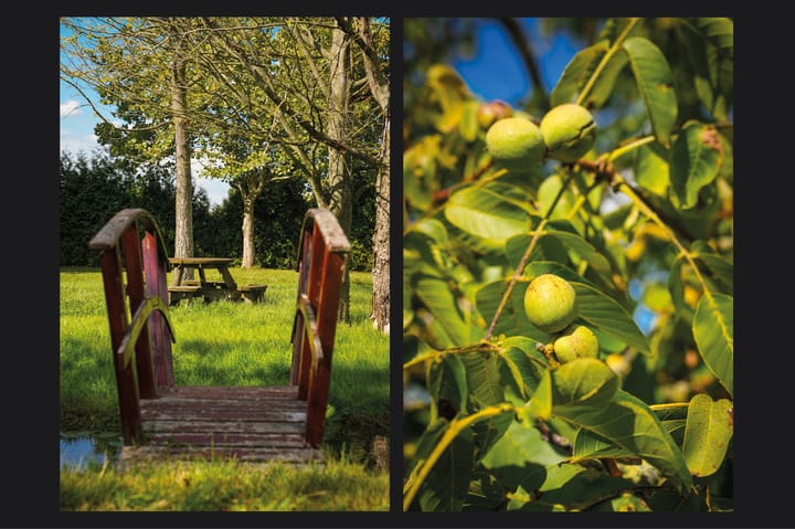 Photo 83 of Provincialeweg 36