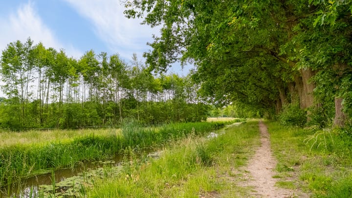 Photo 52 of Lorentzlaan 7-A