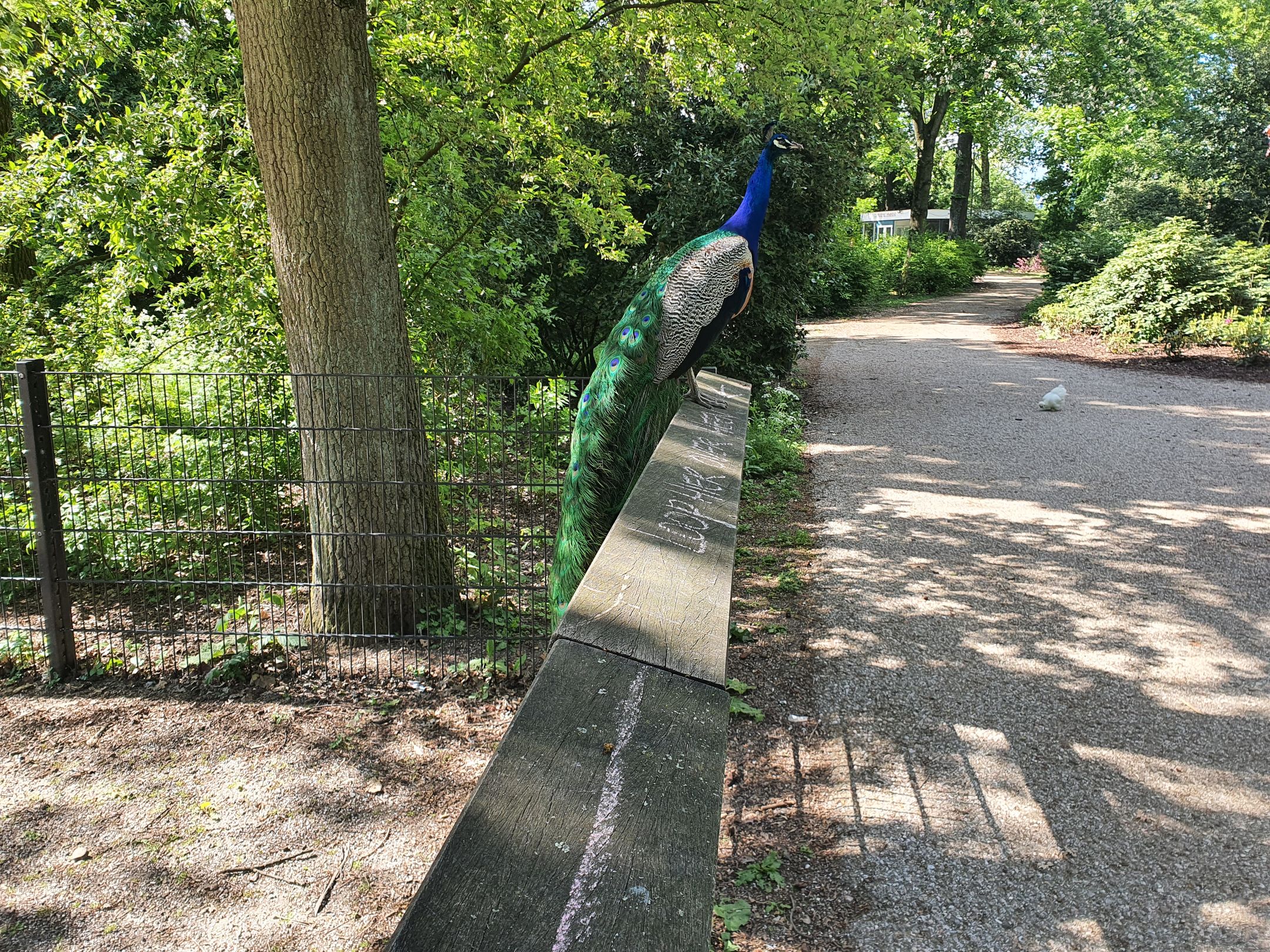 Foto 45 van Bremstraat 83