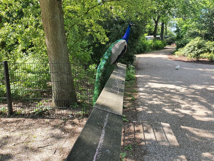 Foto 45 van Bremstraat 83