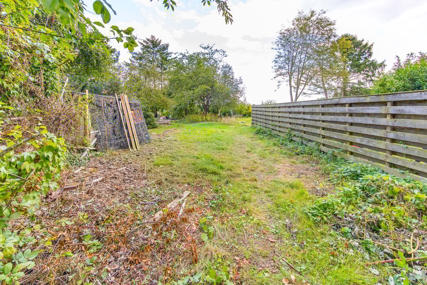 Foto 5 van Paterslaan 43