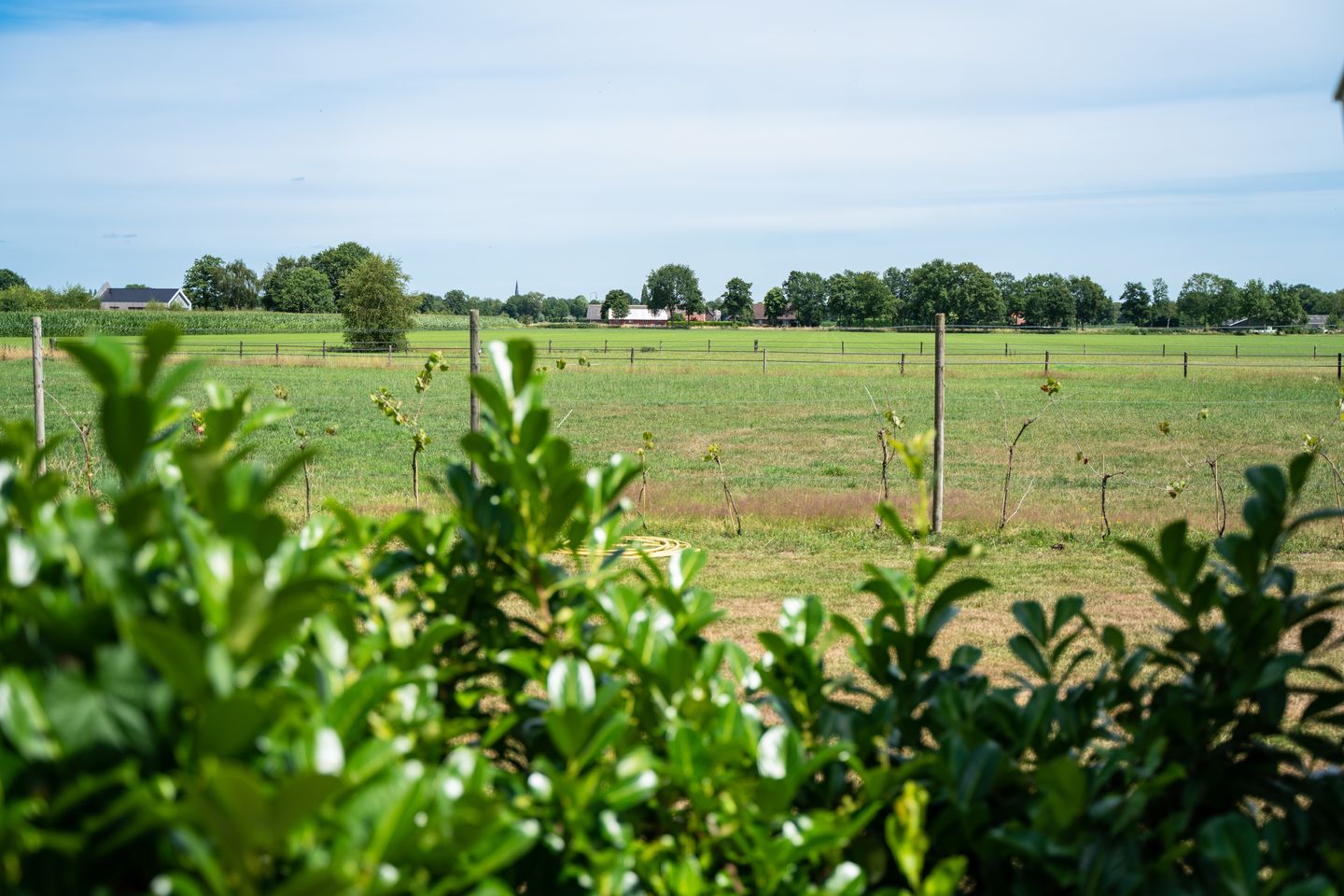 Foto 40 van Heetkampsweg 6