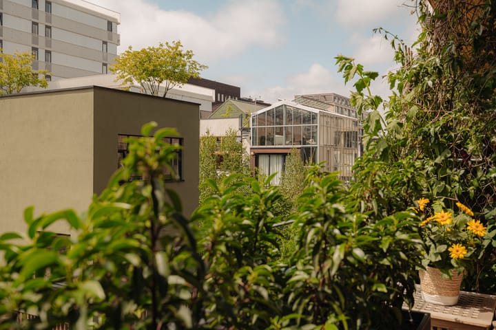 Foto 31 van Distelweg 285