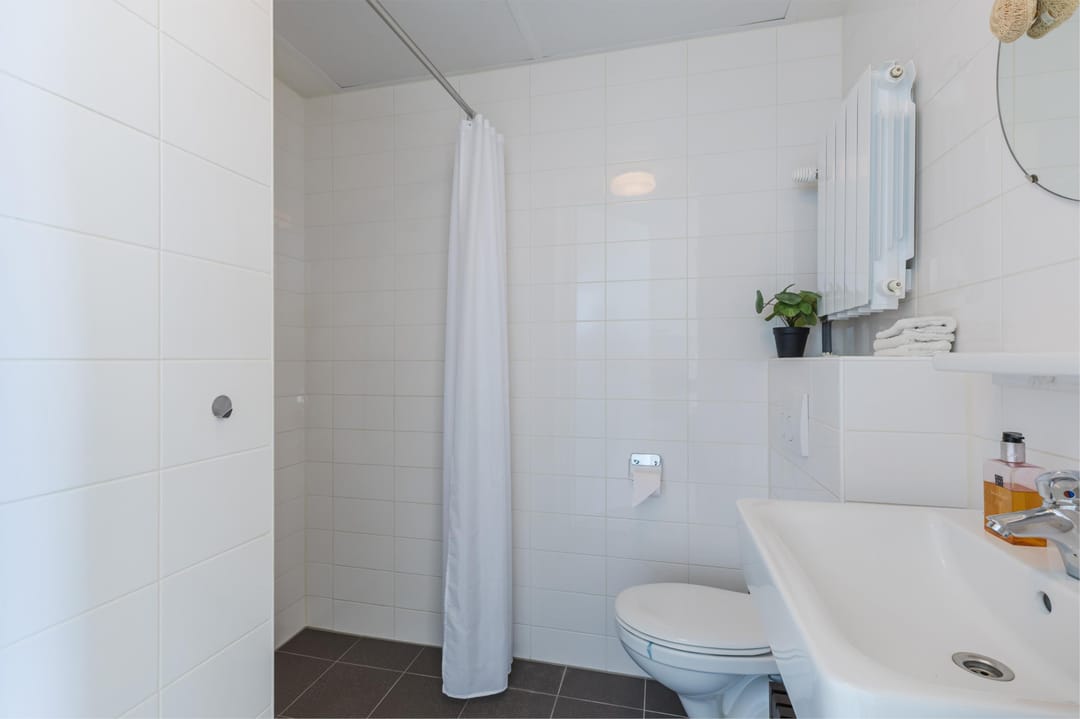 Photo 22 of Bos en Lommerplantsoen 113-E