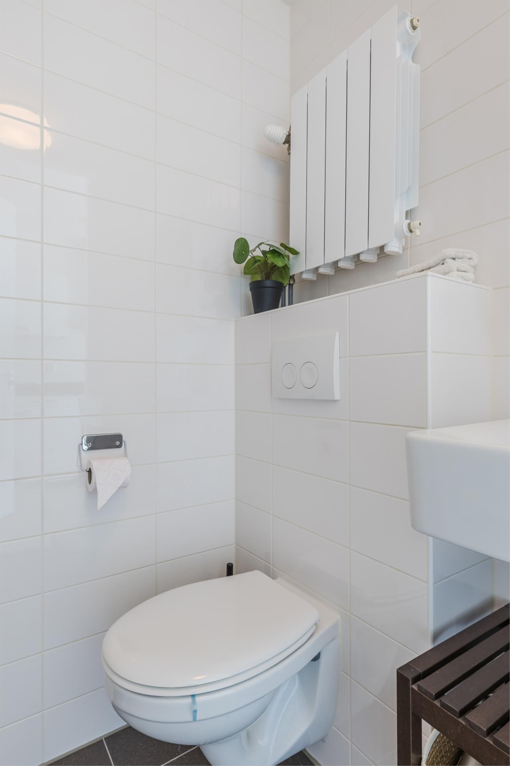 Photo 24 of Bos en Lommerplantsoen 113-E