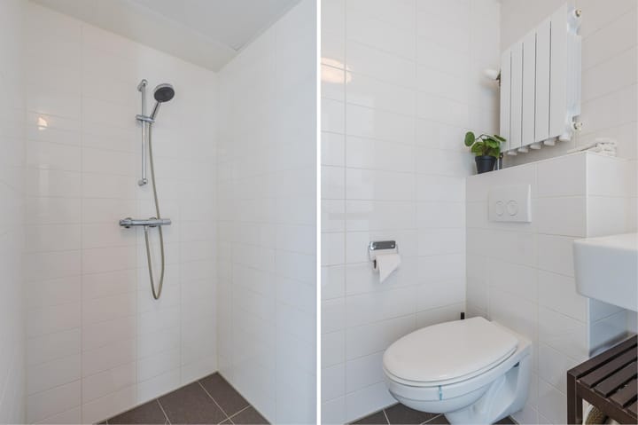 Foto 25 van Bos en Lommerplantsoen 113-E