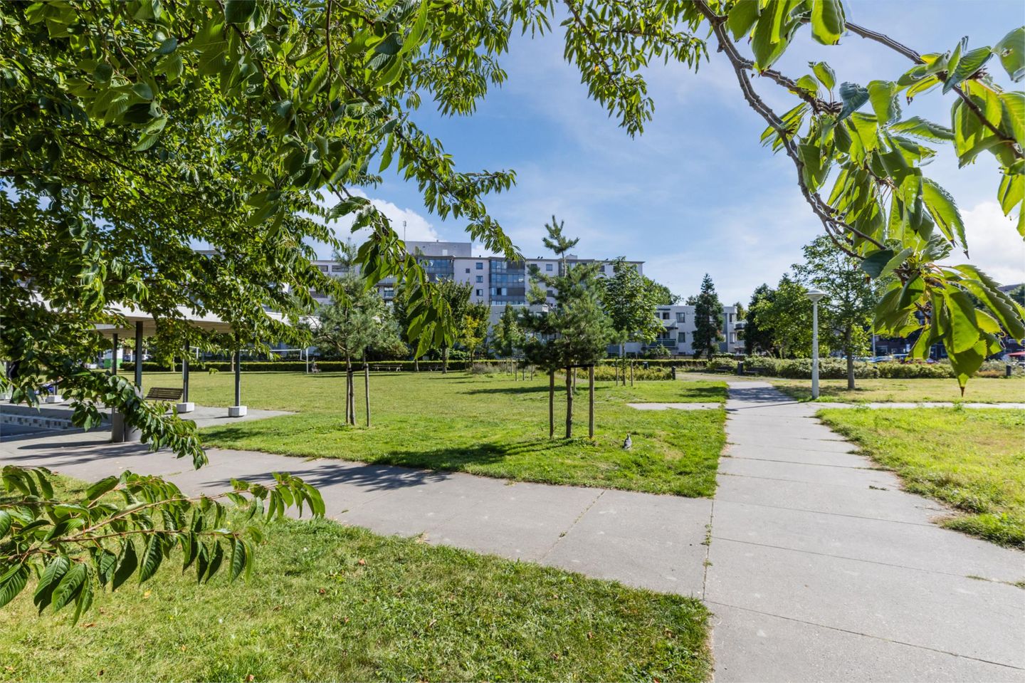 Photo 35 of Bos en Lommerplantsoen 113-E