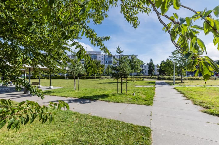 Foto 35 van Bos en Lommerplantsoen 113-E