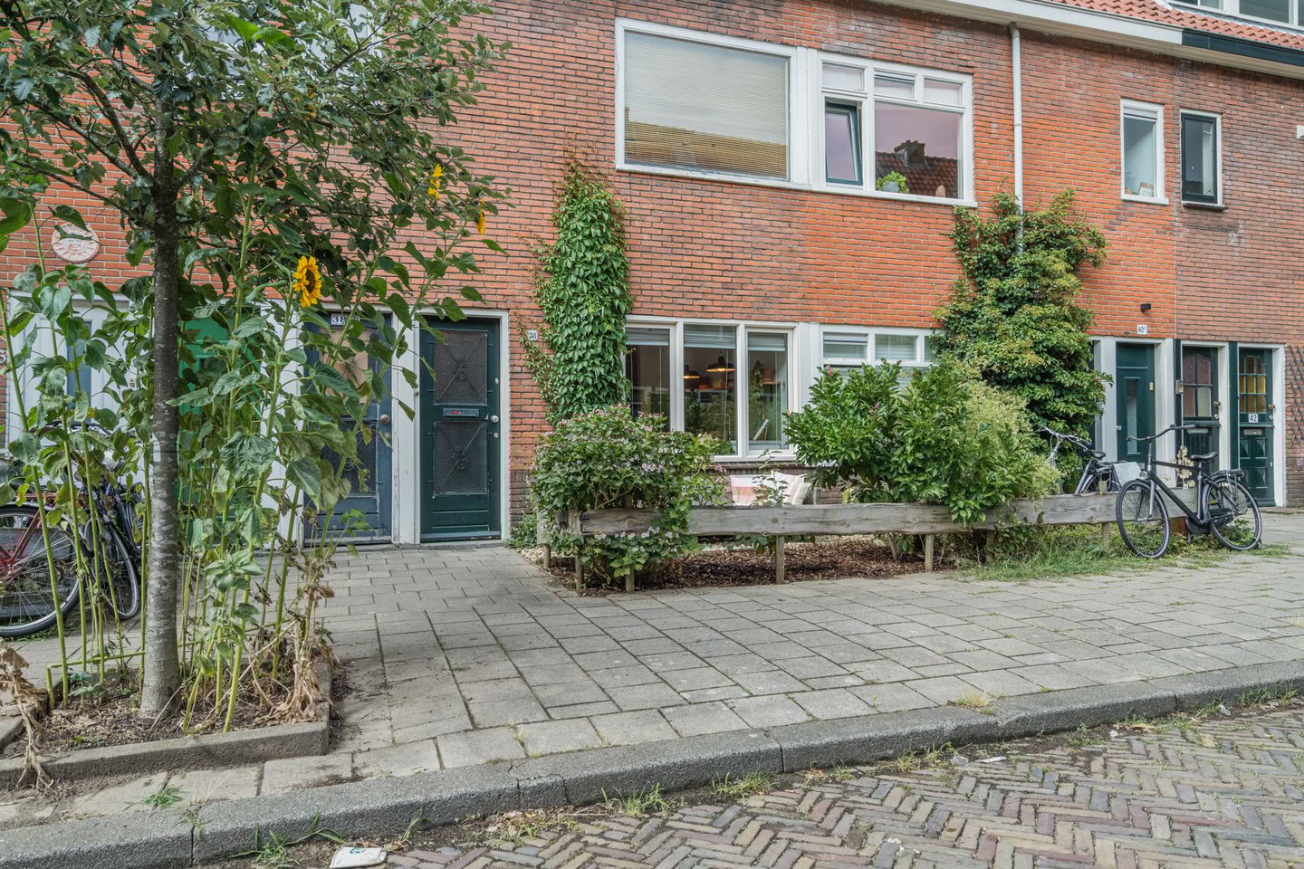 Photo 34 of Linnaeusstraat 38