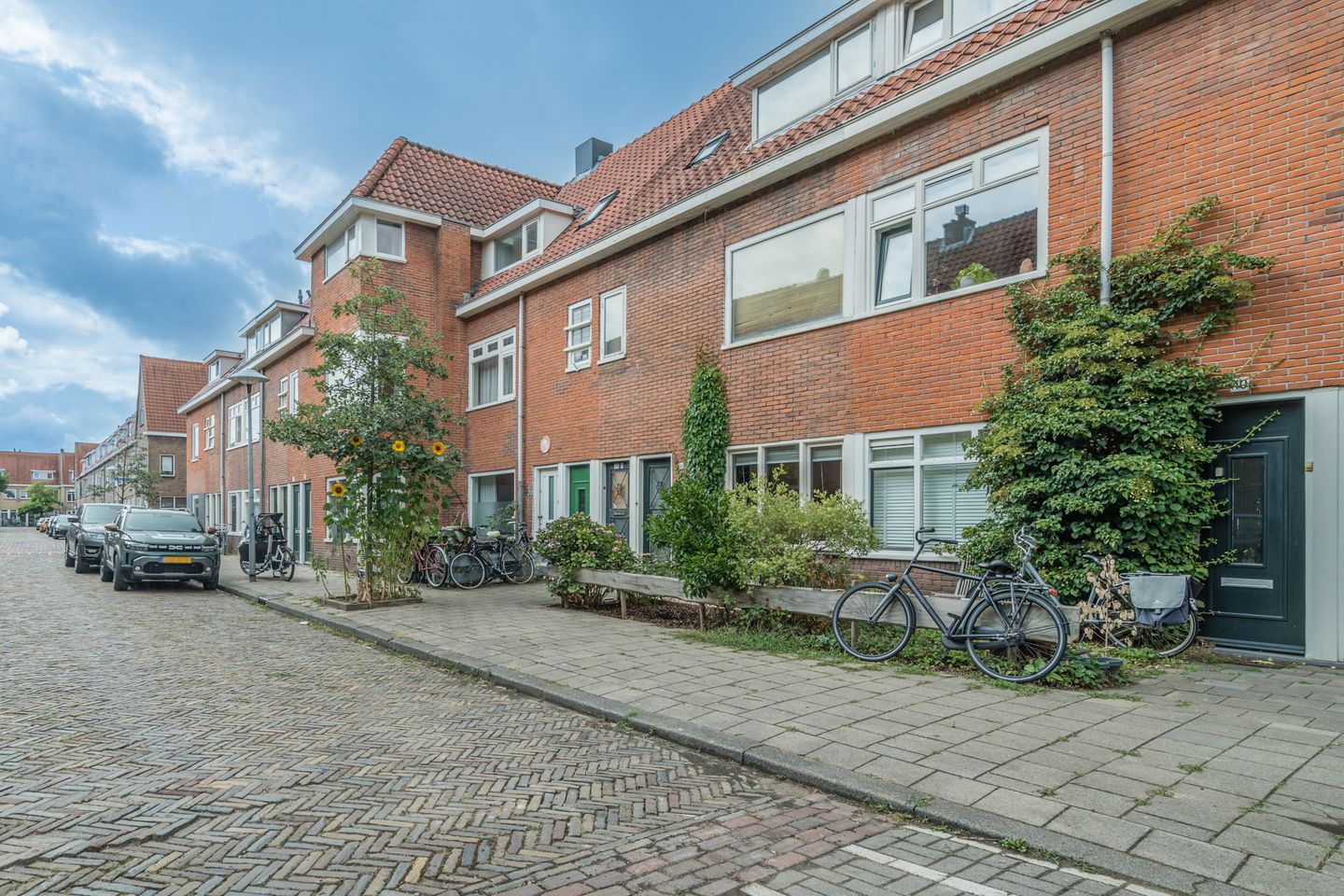 Photo 35 of Linnaeusstraat 38