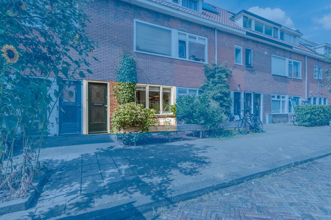Photo 41 of Linnaeusstraat 38