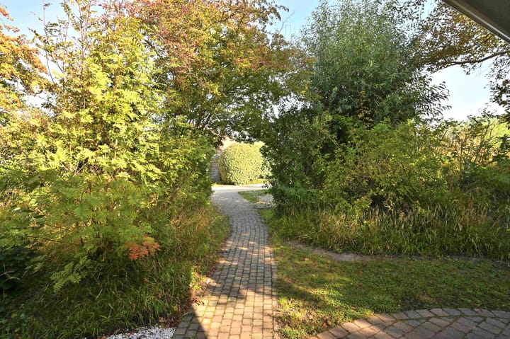 Foto 9 van Sneeuwgors 7