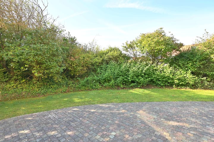 Foto 19 van Sneeuwgors 7