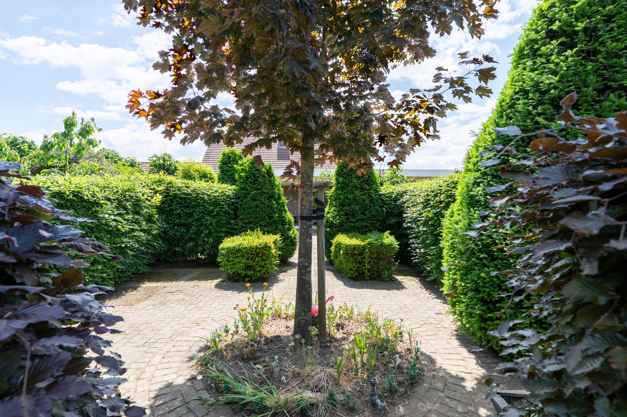 Foto 42 van Maasbrachterweg 91