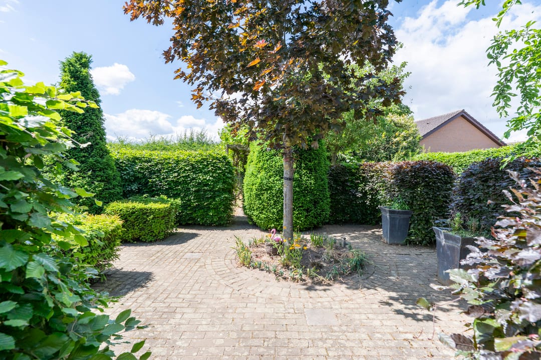 Foto 43 van Maasbrachterweg 91