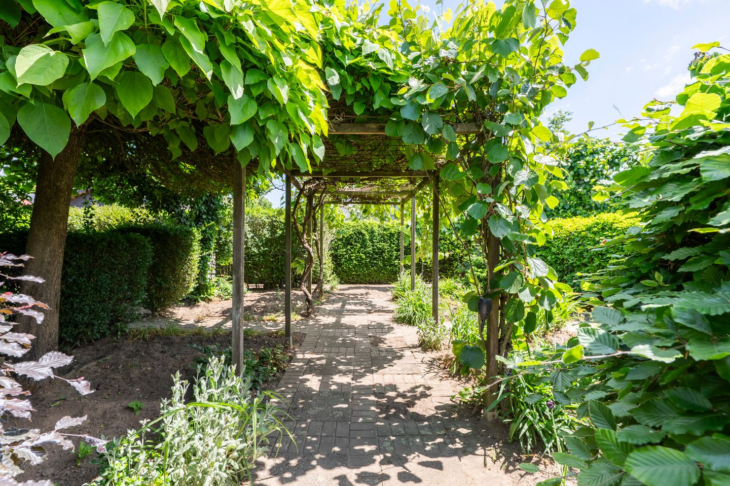 Foto 44 van Maasbrachterweg 91