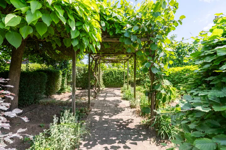 Foto 44 van Maasbrachterweg 91