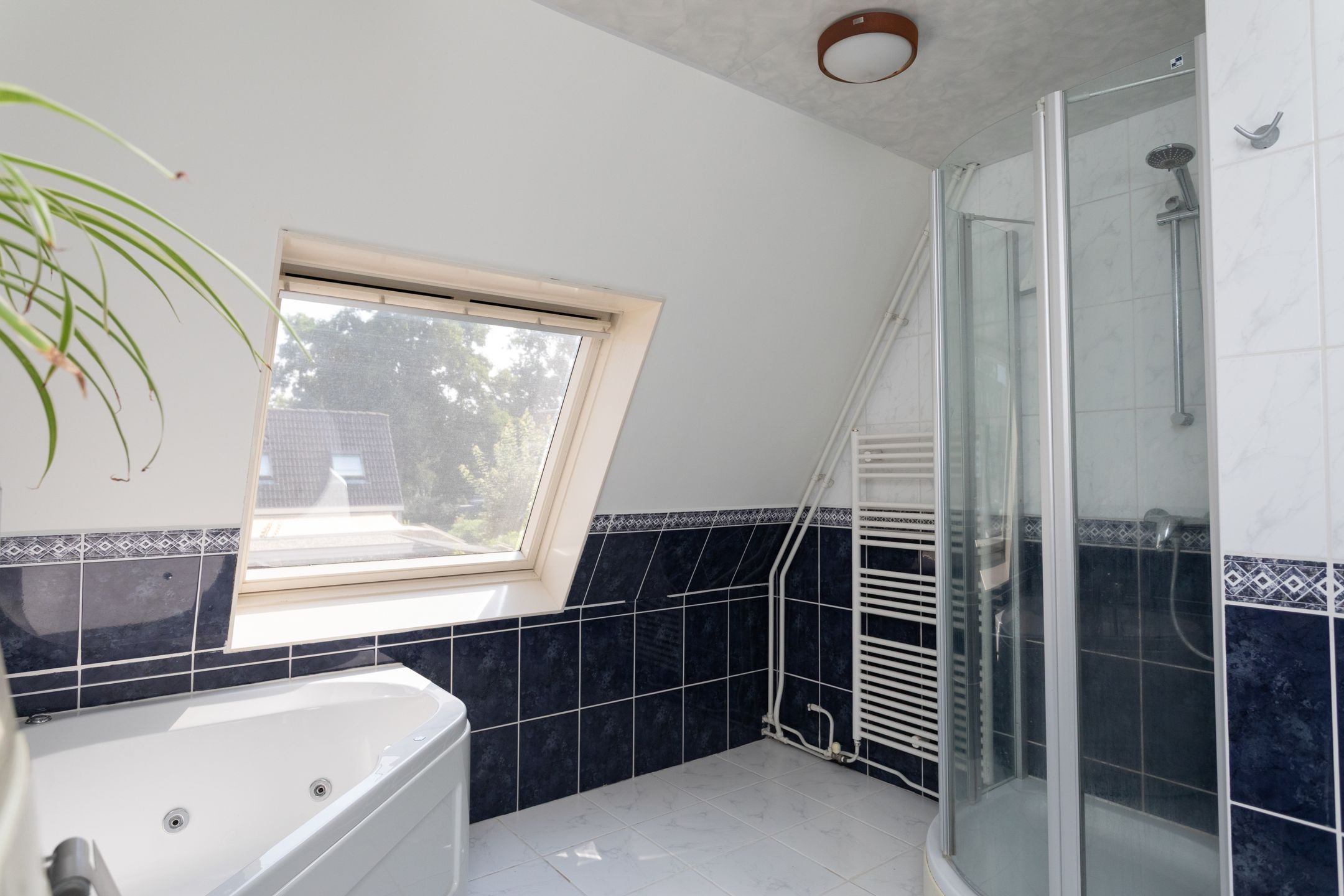 Photo 24 of Schoener 25