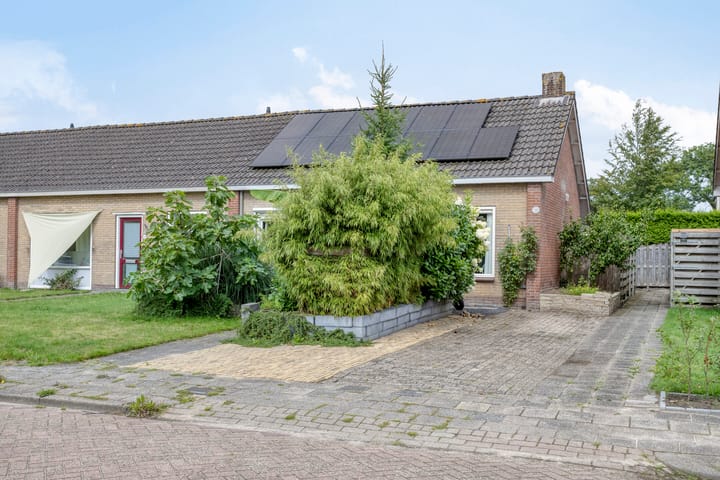 Foto 2 van Master Lubwei 23